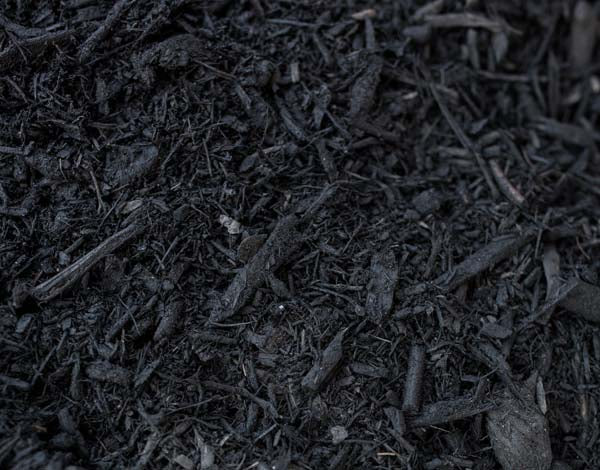 Black Mulch